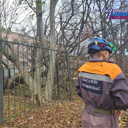 27 ноября в Ставропольский краевой общественный поисково-спасательный отряд поступила заявка - аварийное дерево