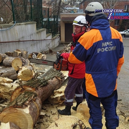 28 декабря 2023 г. в Ставропольский общественный поисково-спасательный отряд поступила заявка - аварийное дерево