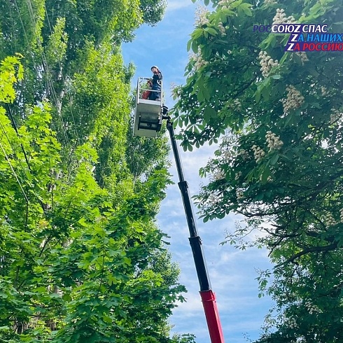 3 мая добровольцы совместно со спасателями Ставропольского поисково-спасательного отряда, огородили территорию и провели распил дерева, представляющего опасность обрушения